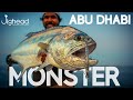 Shore Fishing surprises in UAE - Monster Queenfish on Light Favorite Shooter