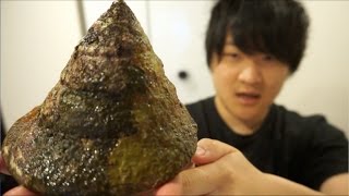ボタンの原料！！最強の貝、タカセ貝をさばく！！