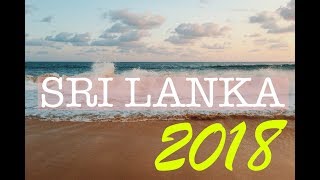 Шри-Ланка 2018! 2. Большие черепахи. Фото-Музей Цунами. Пляж Narigama Шри-Ланка 2018! 2. Большие черепахи. Фото-Музей Цунами. Пляж Narigama