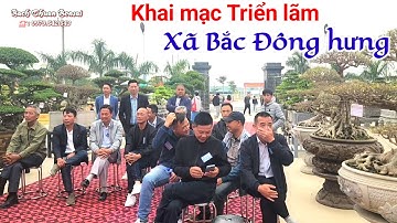 Khai mạc Triển lãm Cây cảnh xã Bắc Đông hưng HY ngày 30.11.2025