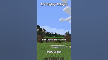 How To Fly A Magic Carpet In Minecraft!