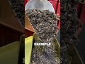Thé noir DARJEELING Dethéiné - Compagnie Anglaise des Thés