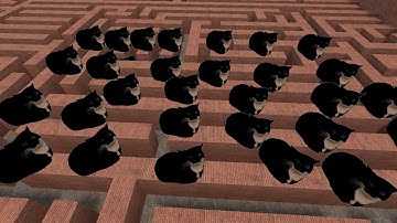 Maxwell The Cat Nextbot Maze ! (Garry