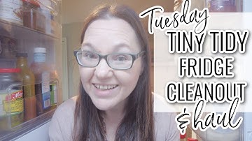 TUESDAY TINY TIDY | FRIDGE CLEAN & HEALTHLY GROCERY HAUL | AFTER CHRISTMAS CLEAN & RESTOCK WITH ME