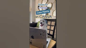 Learn Canva Hacks with Bean on beat! 🎶 #canva #shorts #canvatemplates #canvatips #canvahacks #dogs
