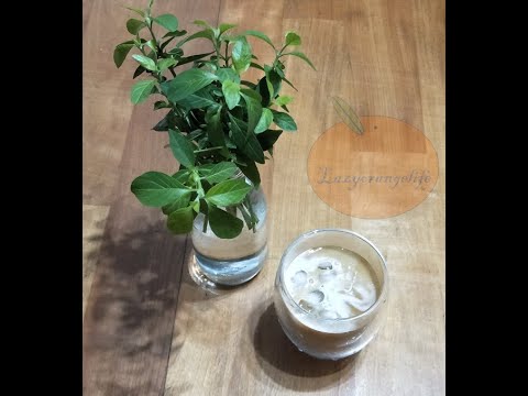 橙香咖啡/拿鐵作法教學【挑動你的味蕾】