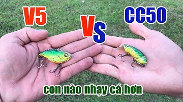 Câu Lure Cá Lóc ● Thử Lure Cá Lóc Giữa Con Mồi V5 & CC50 Con nào nhạy cá hơn | Tâm Râu Vlog #189