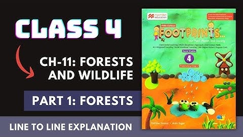 Part 1: Class 4 SST Ch-11 Forests & Wildlife | Footprints Macmillan Book | Full Explanation