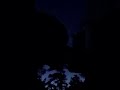 Kiss #shorts #shortvideo  #new