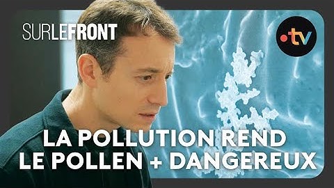 Allergies: la pollution rend le pollen + dangereux  pour les humains! Sur le front avec Hugo Clément