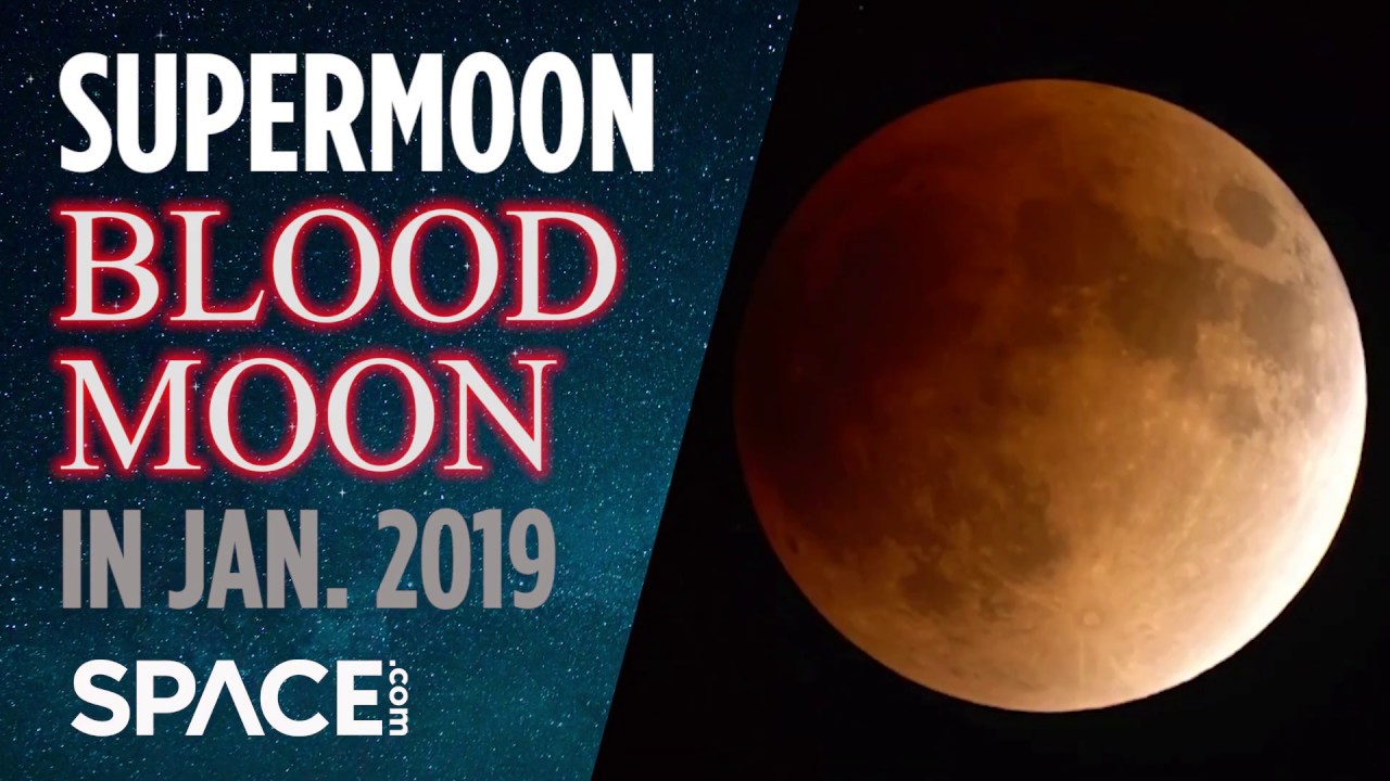 Tuesday will bring a 'Blood Moon' total Lunar Eclipse: how to see it. Exotic Moon 2019. Луна 2019 года