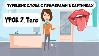 Слова на турецком языке в картинках с примерами. Урок 7. Части тела