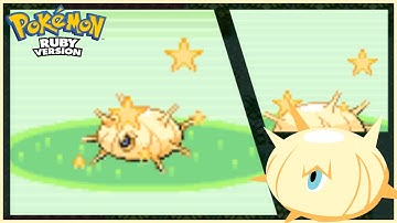 (LIVE) FULL ODDS Shiny Silcoon in Pokemon Ruby [Phase 3]