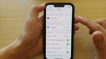 iPhone 13/13 Pro: How to Enable/Disable Fraudulent Website Warning In Safari