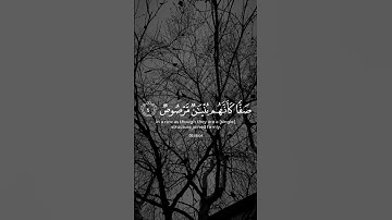 (إن الله يحب الذين يقاتلون في سبيله)القارئ: ياسر الدوسري