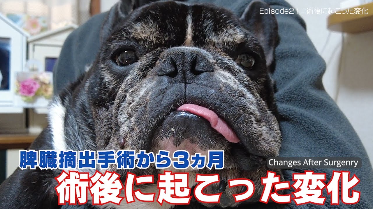 Episode21「術後に起こった変化」