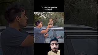 Humanity Still A Live