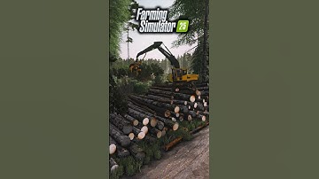 FS25 - Multiplayer logging Timelapse