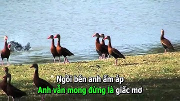 Karaoke Ngồi bên em Phan Đình Tùng