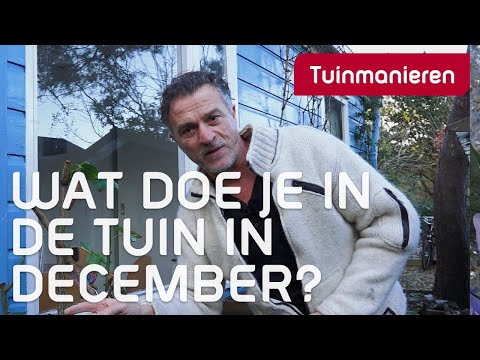 Video: Waar Te Gaan Begin December