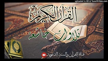 تلاوة عطرة - بصوت أبي المعتصم محمد بن الشيخ عبدالرقيب الإبي وفقه الله تعالى