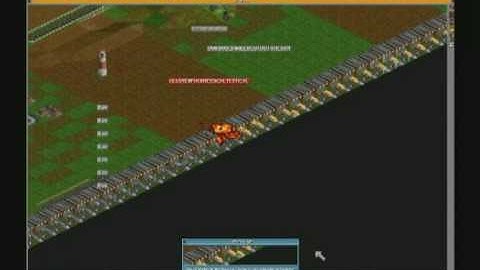 OpenTTD: 300 (Buses)