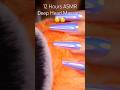 12 Hours ASMR Deep Head Massage 🤤😴 #asmrsleep #asmr #notalkingasmr #sleep #nailart #nail #4k