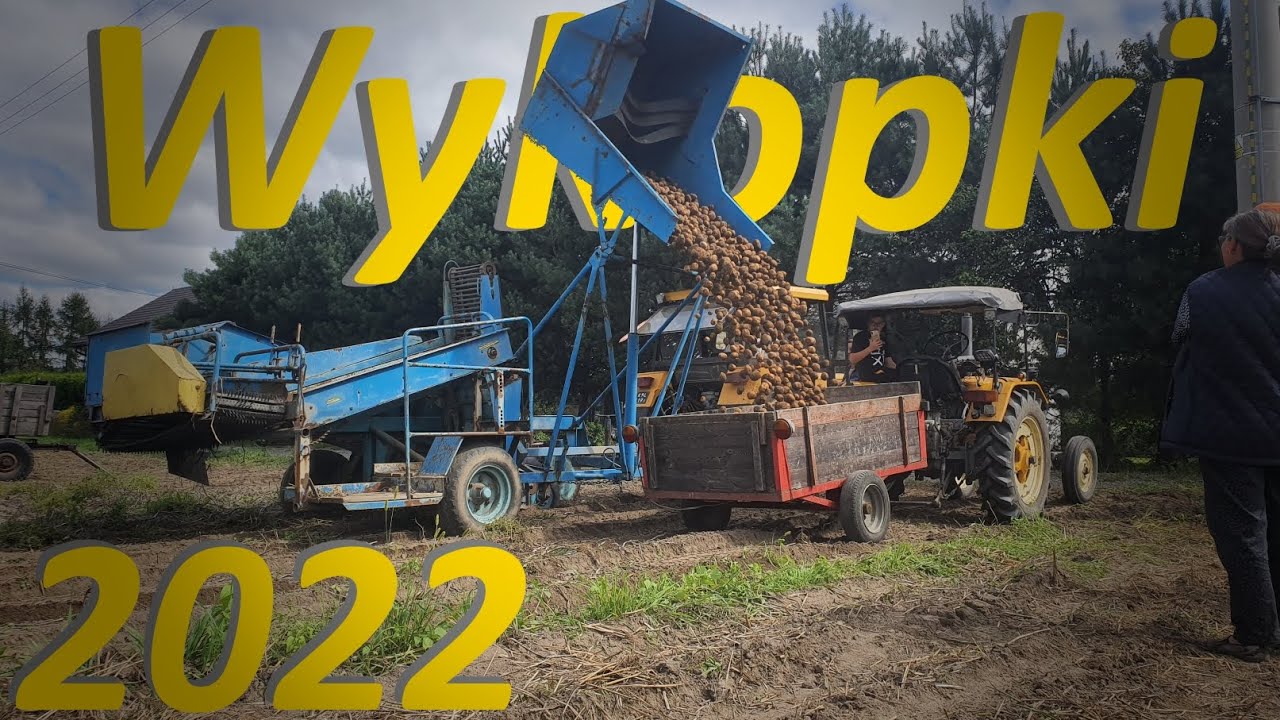 Wykopki 2022 | Kopaczka Pionier KGZ-1A, Bolko Z643, Ursus C4011, Zetor 25330 || Ziemniaki Vineta