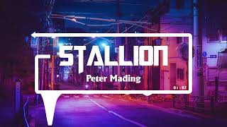 Stallion  - Peter Mading || Music House 🌻