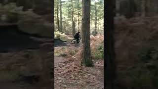 MTB Fail: Tree 1, Rider 0 😬#shorts