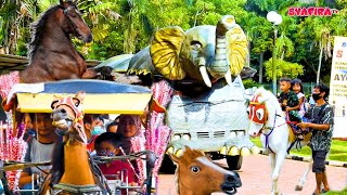 Naik Kuda Delman Odong-odong Gajah - Horses 🐎 Syafira TV