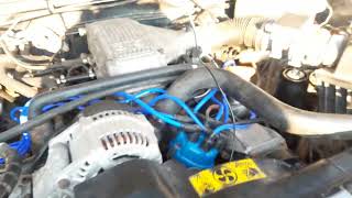 New blue HT leads with roadkill zip tie trick