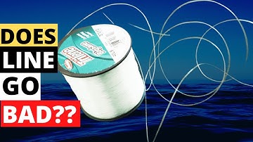 4 Genius Tips to Remove Memory from Fishing Line FOREVER