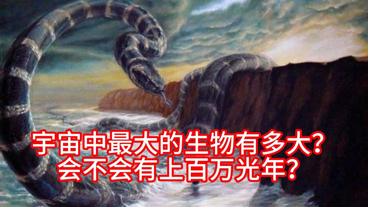 宇宙中最大的生物有多大？会不会有上百万光年？ - YouTube