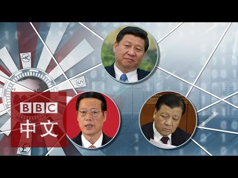 “巴拿马文件”Panama Papers与中国