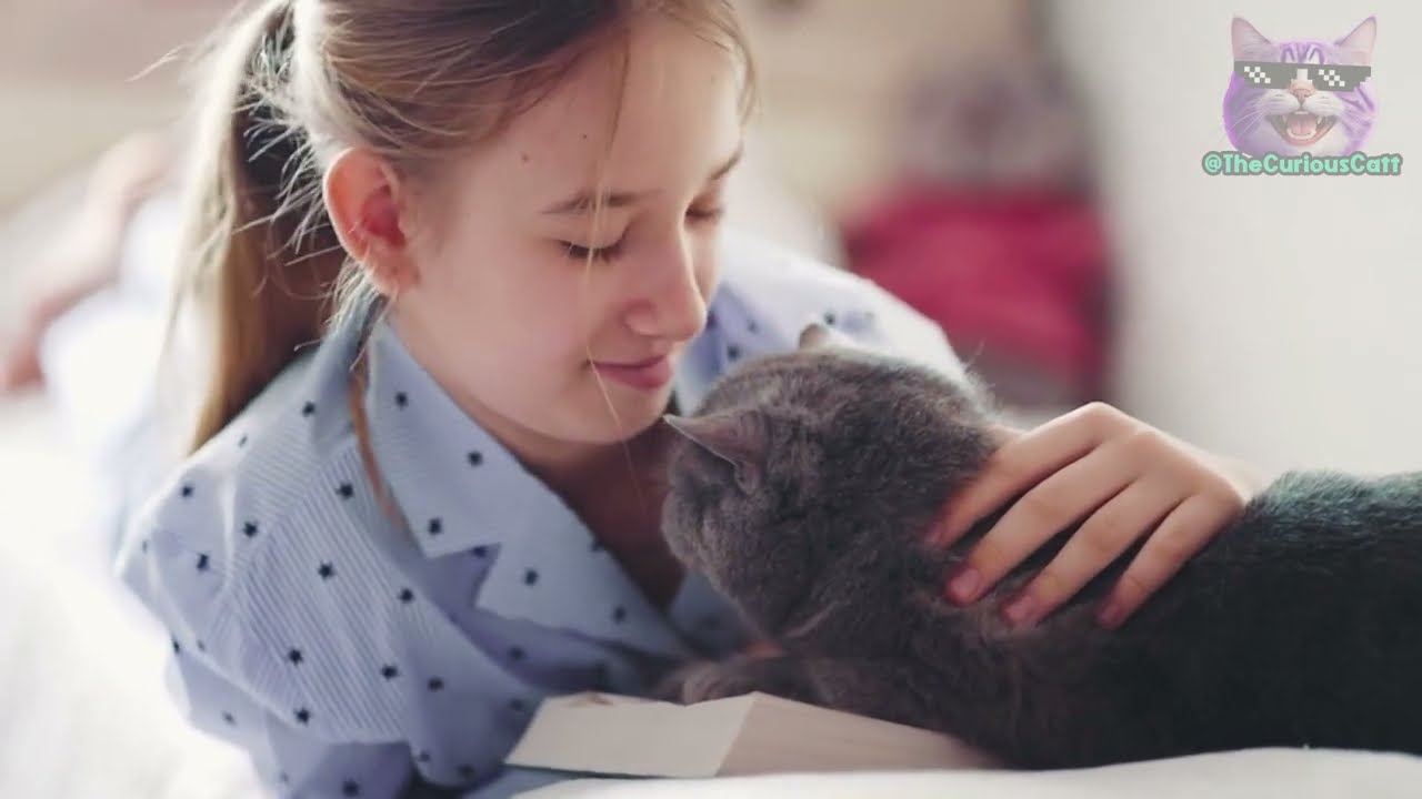 YouTube video image 3