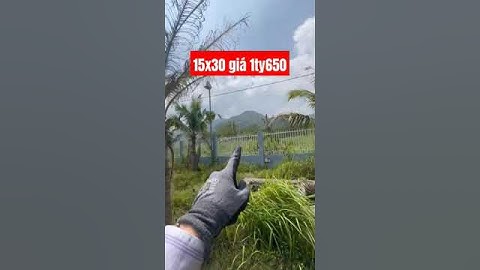 Châu pha phu mỹ brvt #bdss #automobile #bbds #nhadep