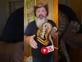Join Dave Kaufman, my two favorite Amy's and me for an epic livestream later today!