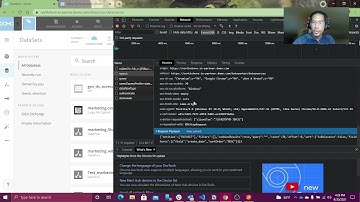 Domo + Sharing // Generate a Domo_Governance style report of all the Datsets a user has access to