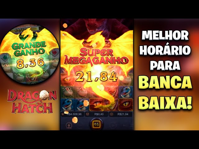 Melhor Horário Para Jogar Dragon Hatch a Noite, Tarde, Dia