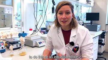 TU Delft - Charlotte Koster PhD Building a Synthetic Cell (BaSyC)