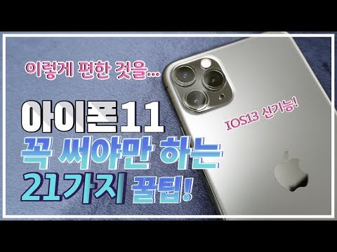 애플 아이튠즈