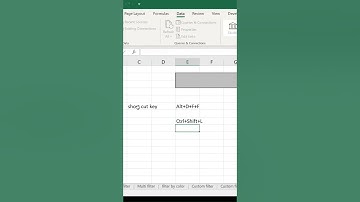Excel Basics: How to Filter Data in Microsoft Excel - 1, Automation Analytics, MIS Family, Data