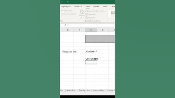 Excel Basics: How to Filter Data in Microsoft Excel - 1, Automation Analytics, MIS Family, Data