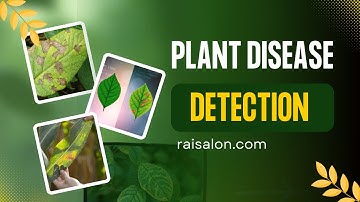 Plant Disease Detection Using CNN | Deep Learning Project