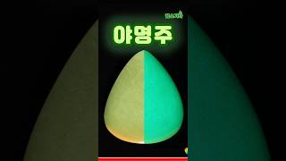실존한다는 전설의 야명주😳