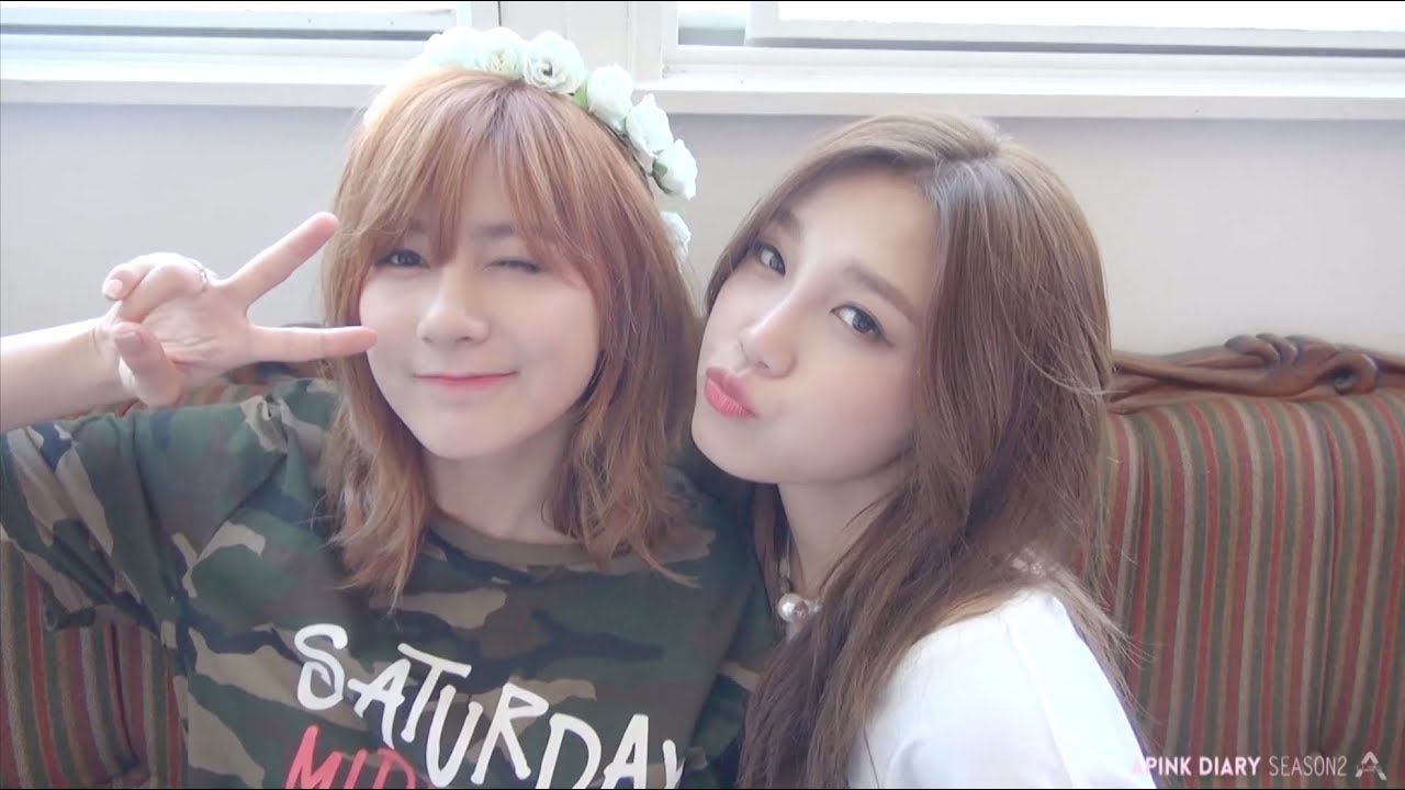 Apink Diary2 Special (Adieu 2015)