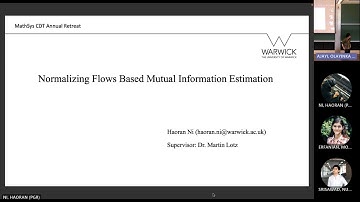 Normalizing Flows Based Mutual Information Estimation