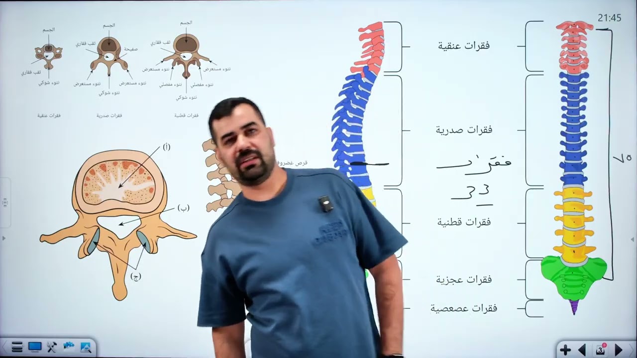 احياء الثالث المتوسط || الفصل الثاني || المحاضرة 3
