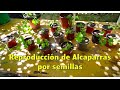 Reproducción de Alcaparras por semillas.